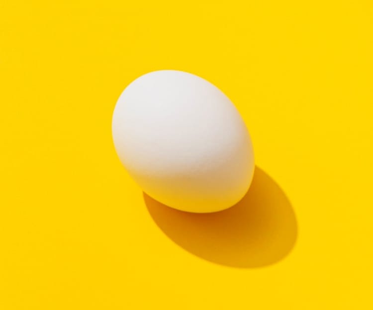 A single egg with yellow color background